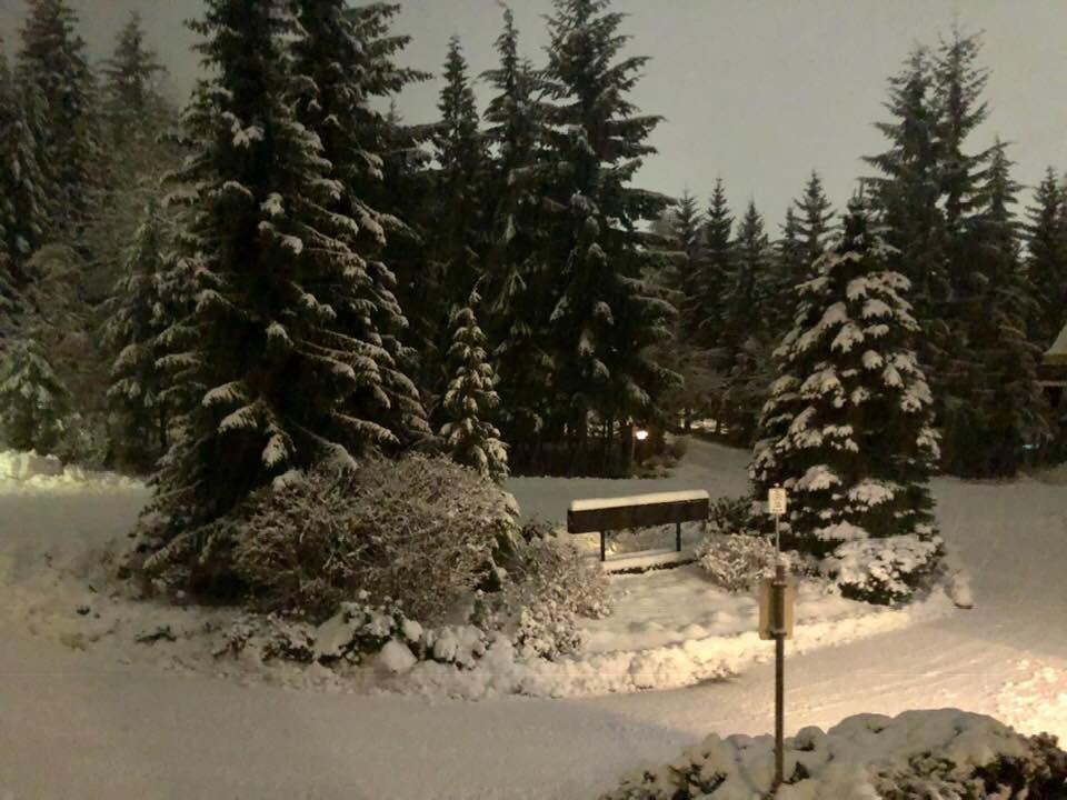 Powderhorn By Whistler Blackcomb Vacation Rentals Экстерьер фото